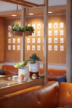 Load image into Gallery viewer, Barnes & Noble