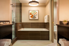 Load image into Gallery viewer, Fairmont Scottsdale Princess