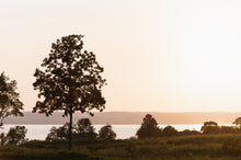 Load image into Gallery viewer, Inns of Aurora